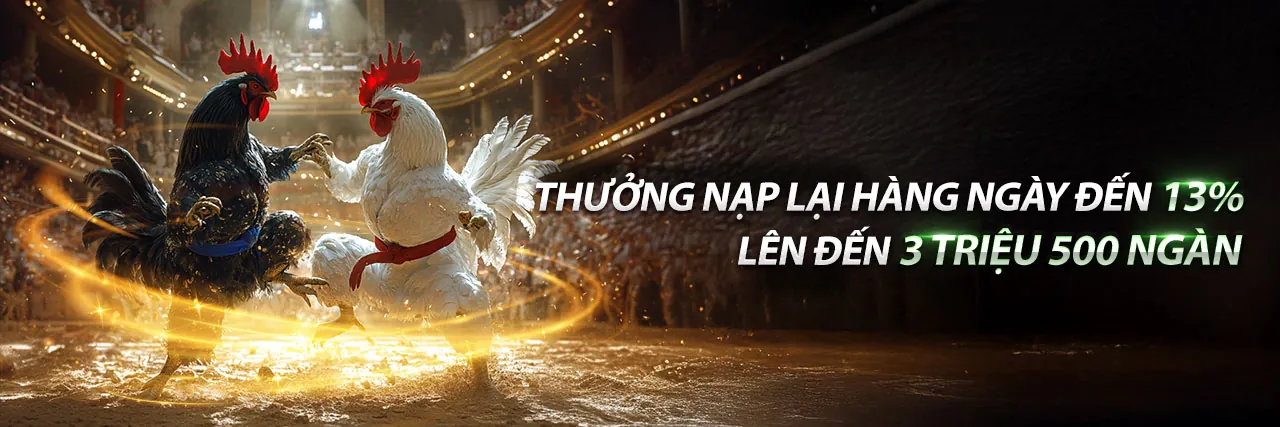 Hình ảnh chính to888 chính thức blog